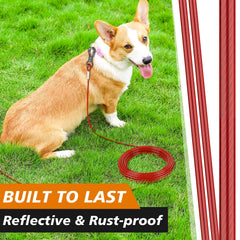 XiaZ Dog Tie Out Cable shown tethered outdoors in a yard setting.