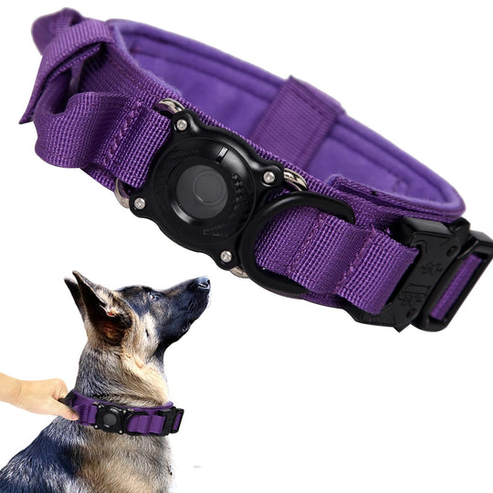 Xqpetlihai AirTag dog collar shown from the front.