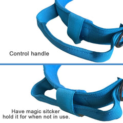Xqpetlihai Tactical Dog Collar showing its adjustable strap.