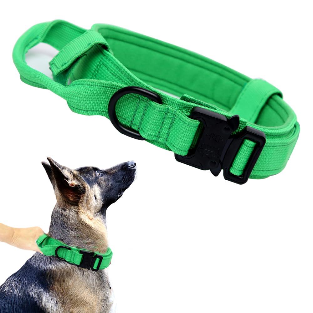 Xqpetlihai Tactical Dog Collar shown from the front in bright green.