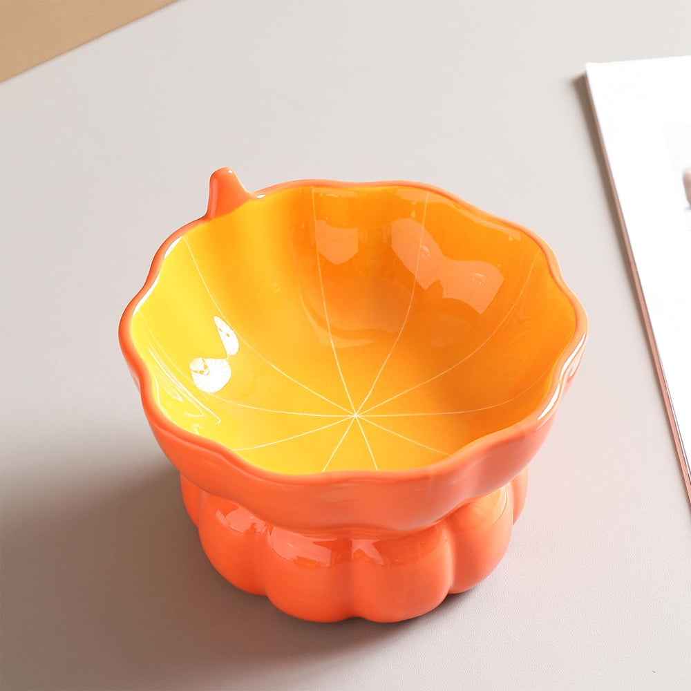 Close-up of the ceramic glaze on the Yeexoxow cat bowl.