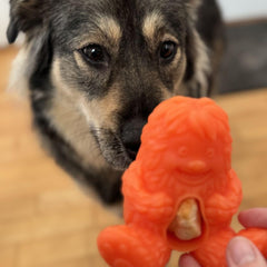 Yeti Dog Chew Puff & Play shown during dishwasher-safe cleanup.