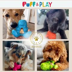 Yeti Dog Chew Puff & Play offering a dog an interactive enrichment activity.
