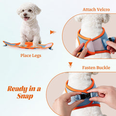 YIMEIS dog harness and matching reflective leash shown together.