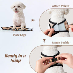 YIMEIS dog harness pictured with its matching reflective leash.