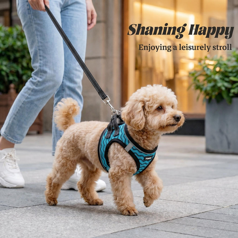 YIMEIS dog harness and leash set shown on a dog during a walk.