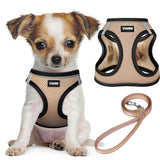 YIMEIS dog harness and leash set shown from the front.