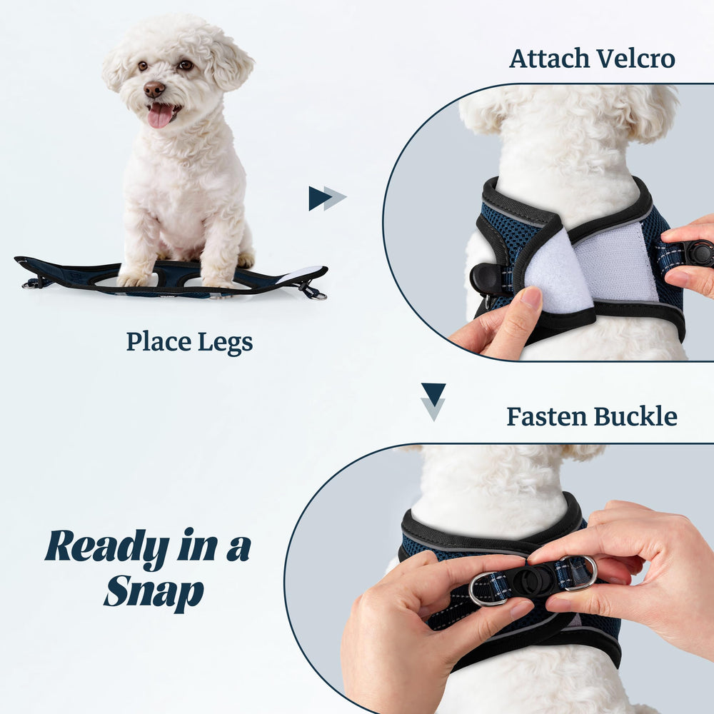 YIMEIS dog harness shown in use during a walk.