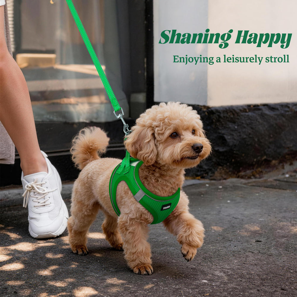 YIMEIS dog harness set with the reflective leash shown.