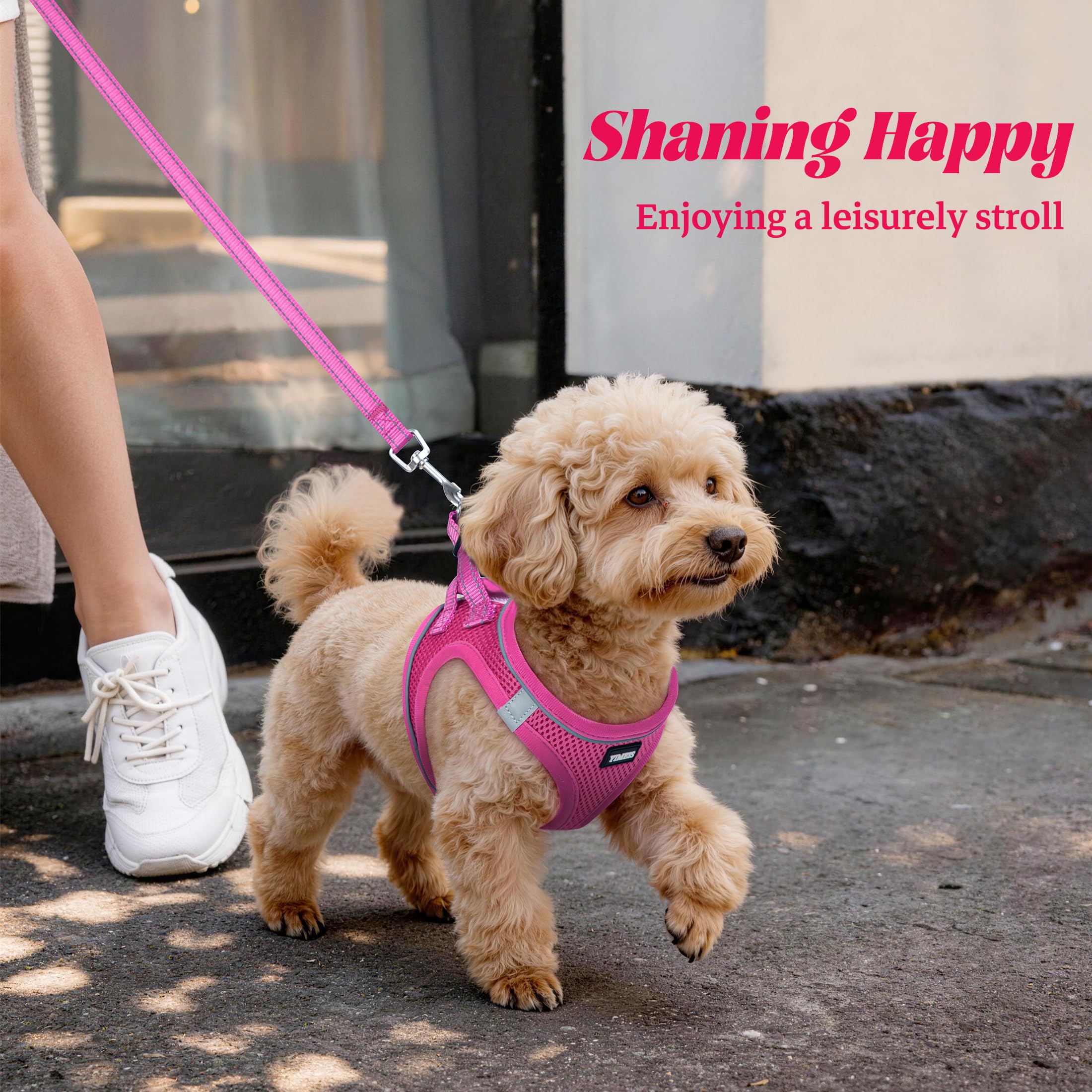 YIMEIS dog harness and leash set showing the reflective leash.