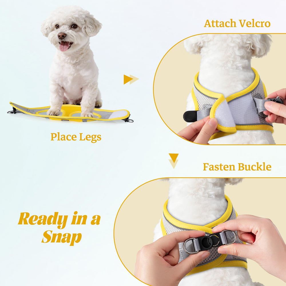 YIMEIS small dog harness set with its matching reflective leash.