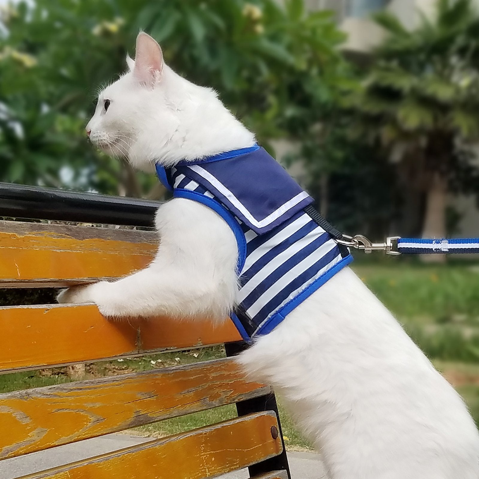 YIZHI MIAOW cat harness showing its adjustable fit.