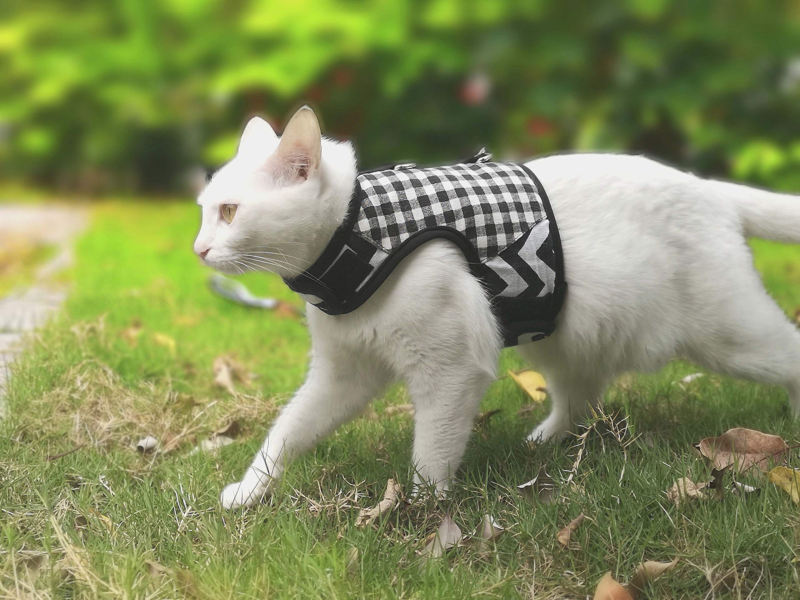 YIZHI MIAOW cat harness shown to highlight its adjustable fit.
