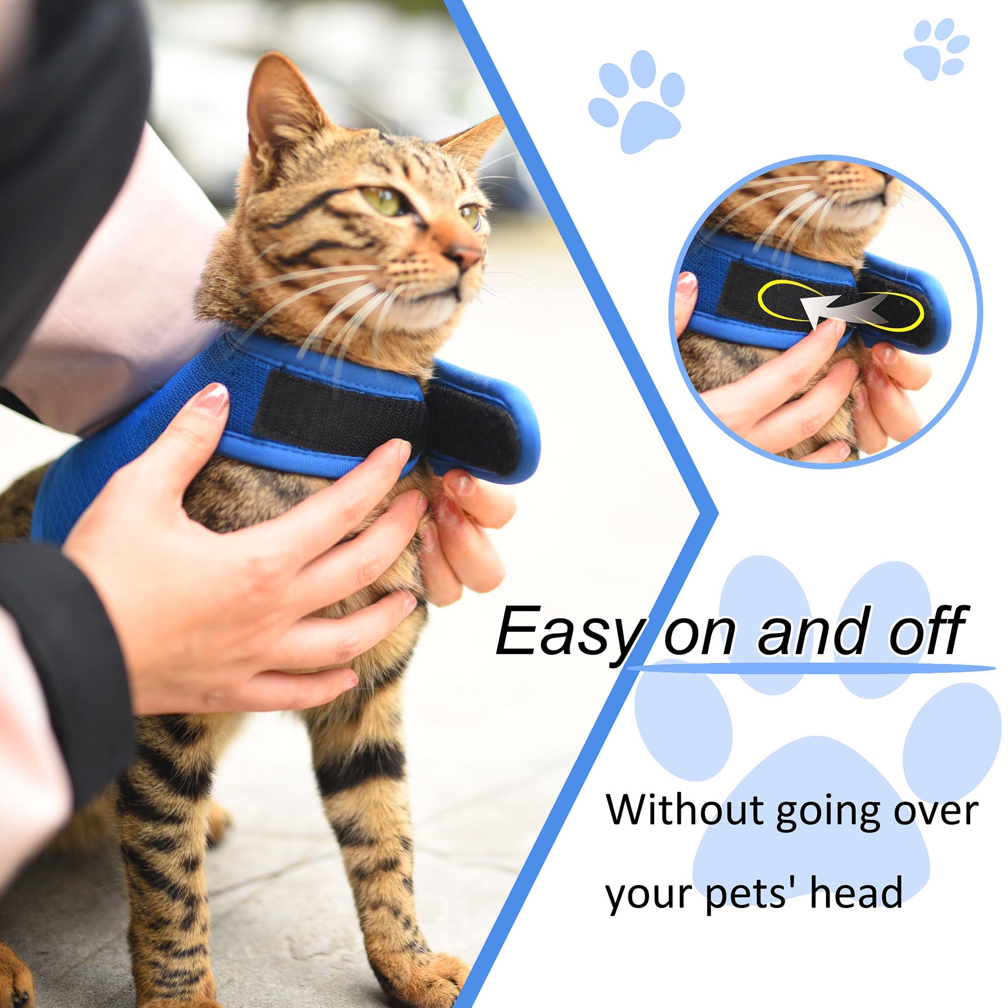 YIZHI MIAOW cat harness and leash shown together as a set.