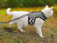 YIZHI MIAOW cat harness featuring its black plaid pattern.
