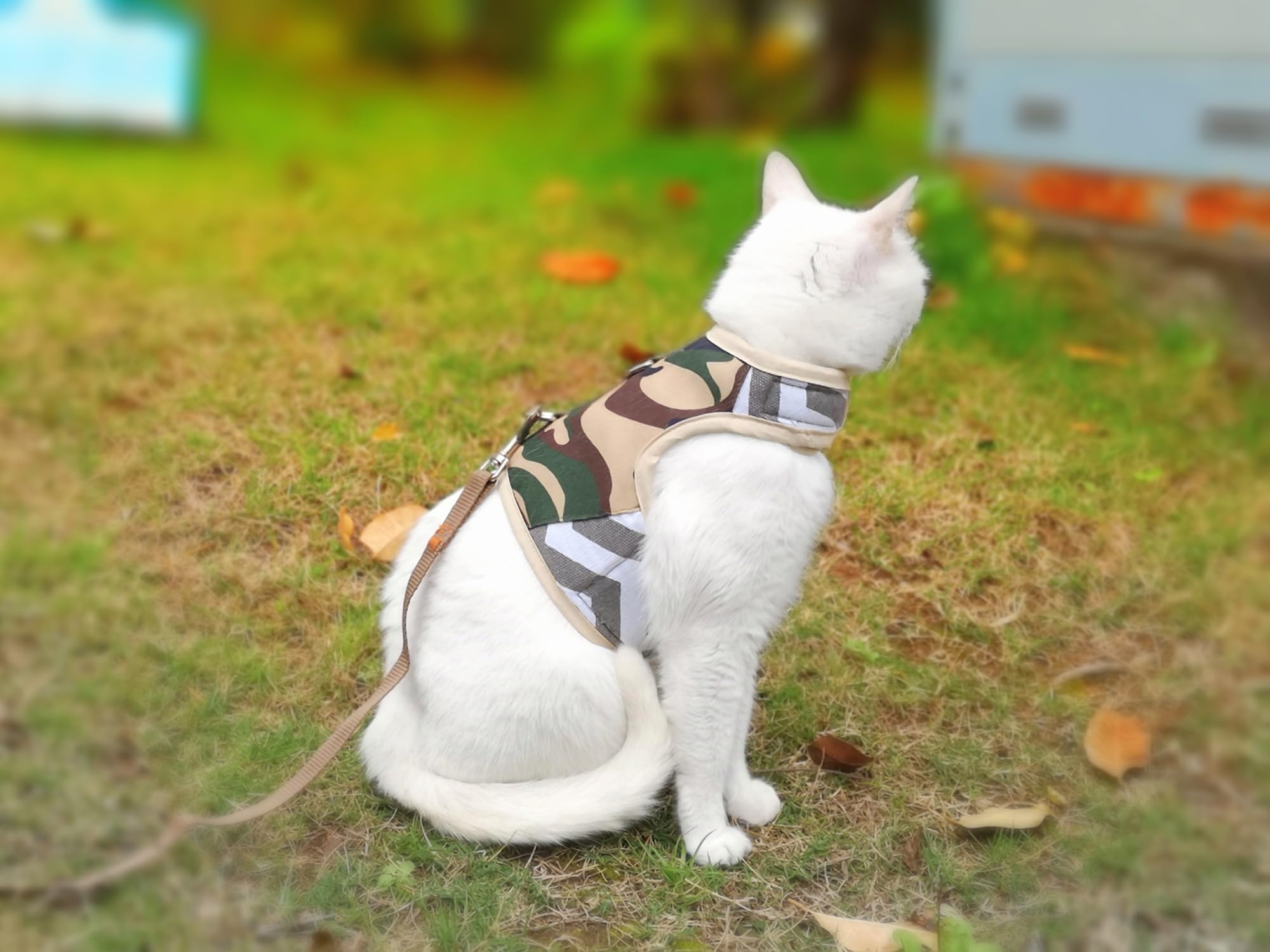YIZHI MIAOW cat harness showing the Camo Green pattern.