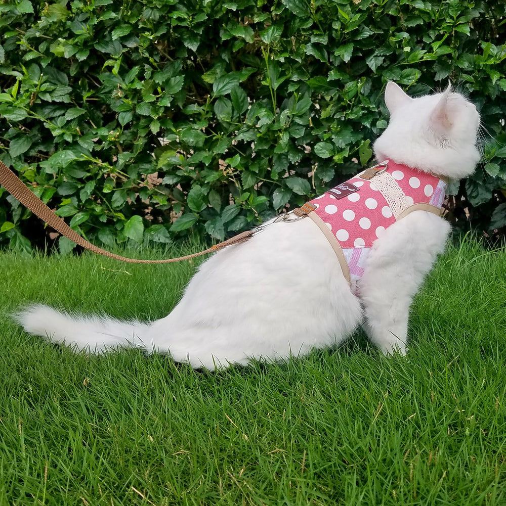 YIZHI MIAOW cat harness shown worn by a cat.