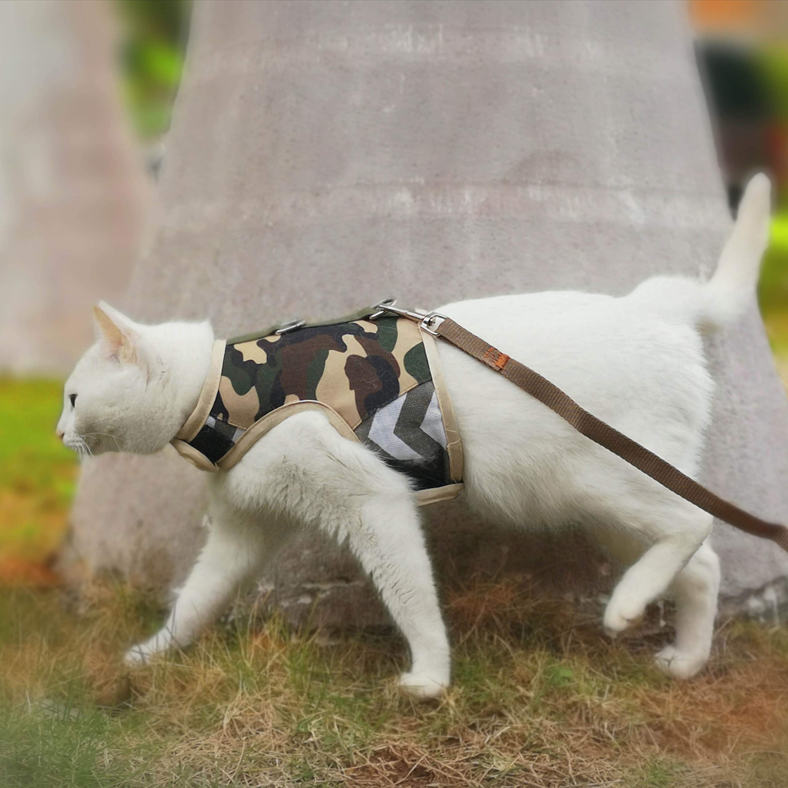 YIZHI MIAOW cat harness close-up of the hook-and-loop fastener.