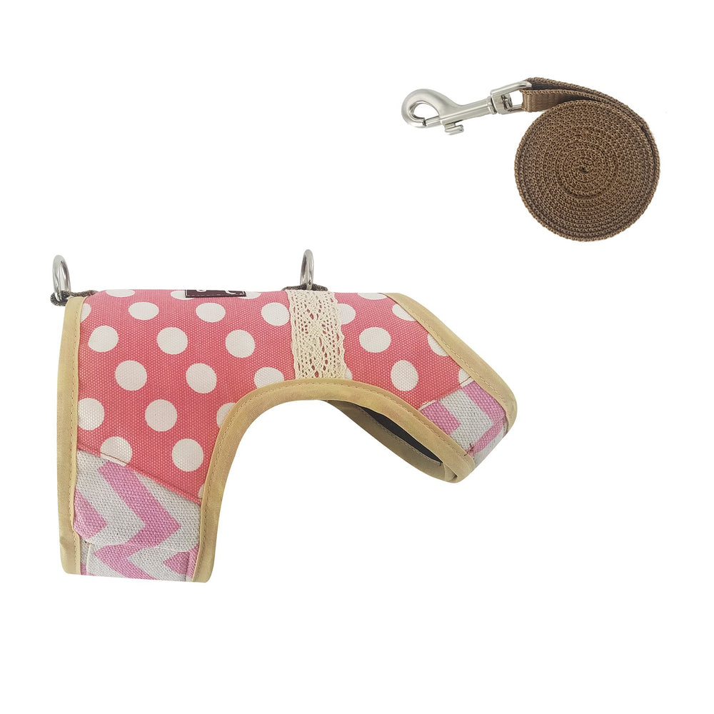 YIZHI MIAOW cat harness shown during indoor leash training.