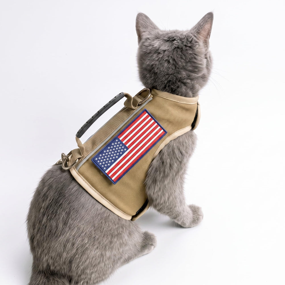YIZHI MIAOW cat harness shown during indoor walking practice.