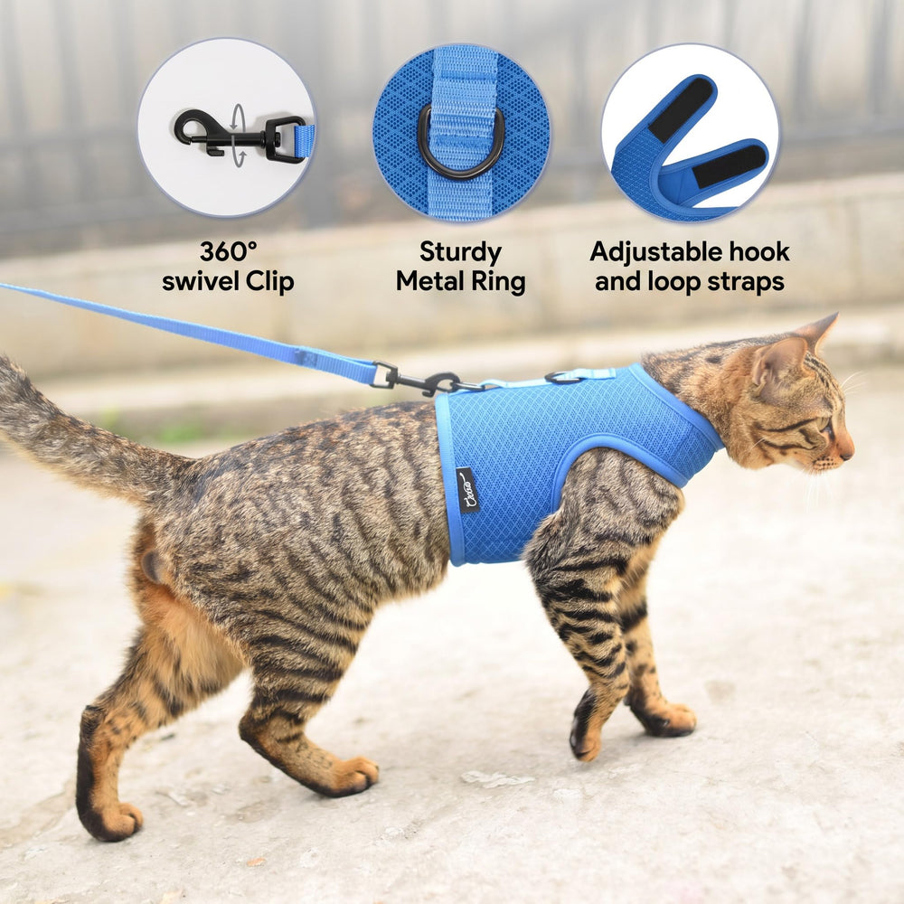 YIZHI MIAOW cat harness shown with the leash attached.