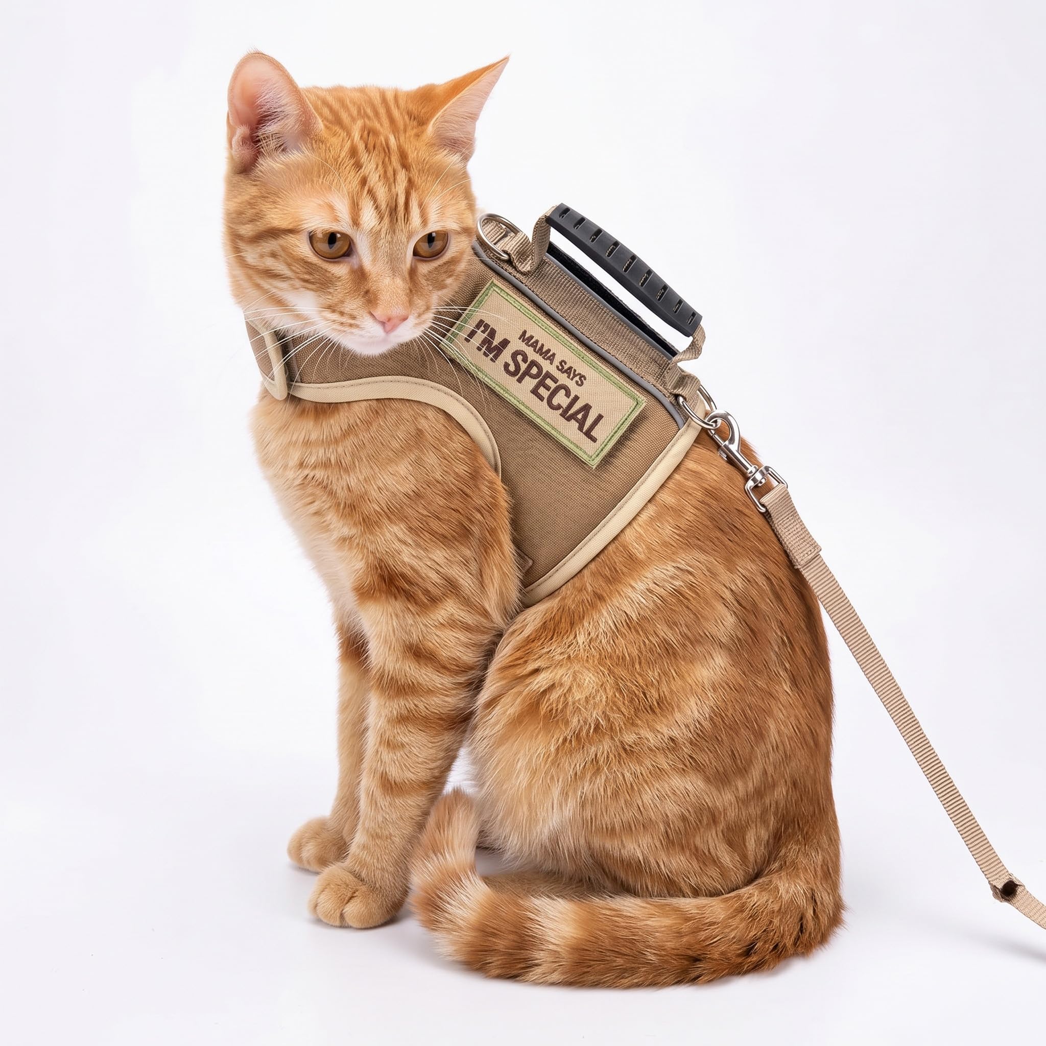 YIZHI MIAOW cat harness and leash set shown from the back.