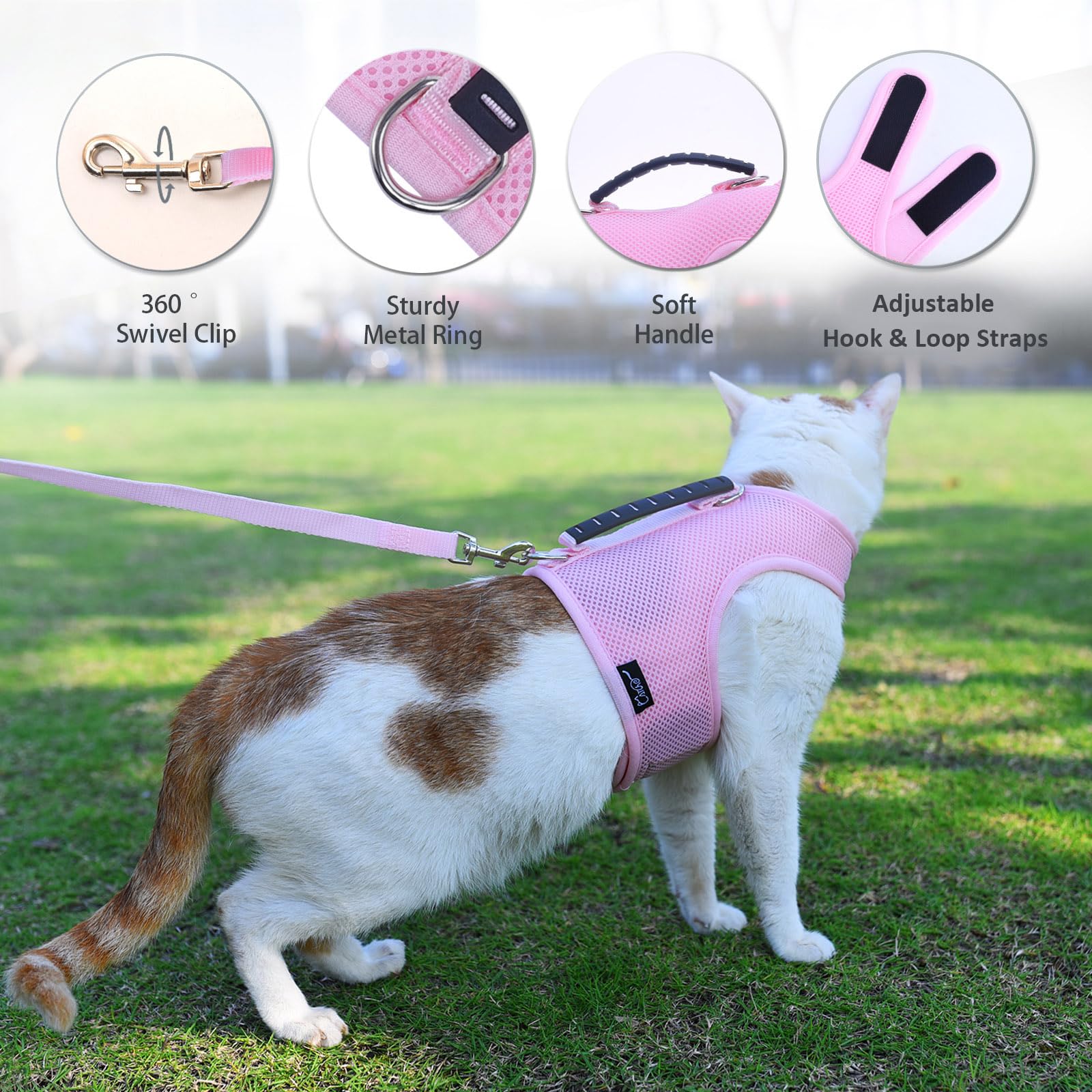 YIZHI MIAOW cat harness and leash set shown fitted on a cat.