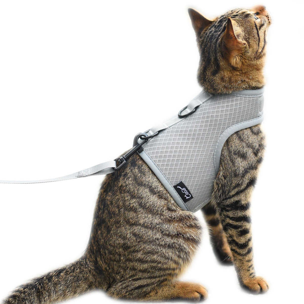 YIZHI MIAOW cat harness and leash set shown from the front in grey.