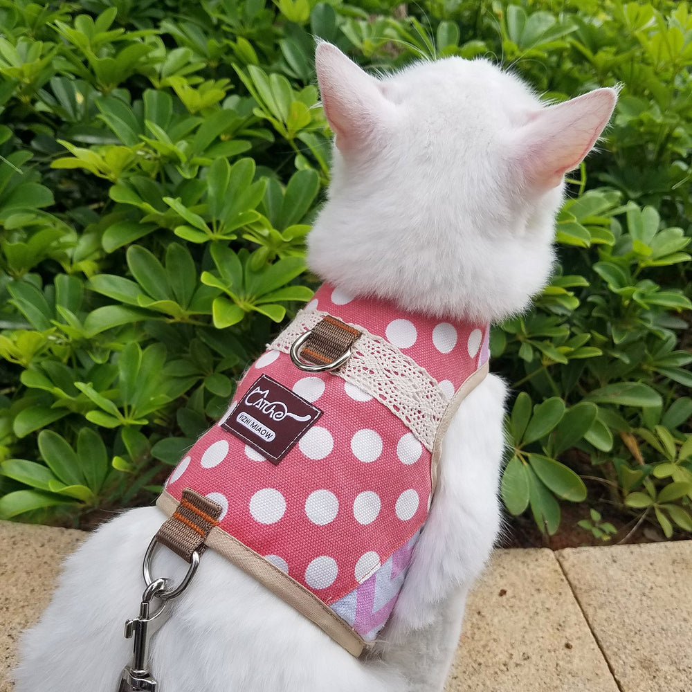 YIZHI MIAOW cat harness and leash displayed together as a set.