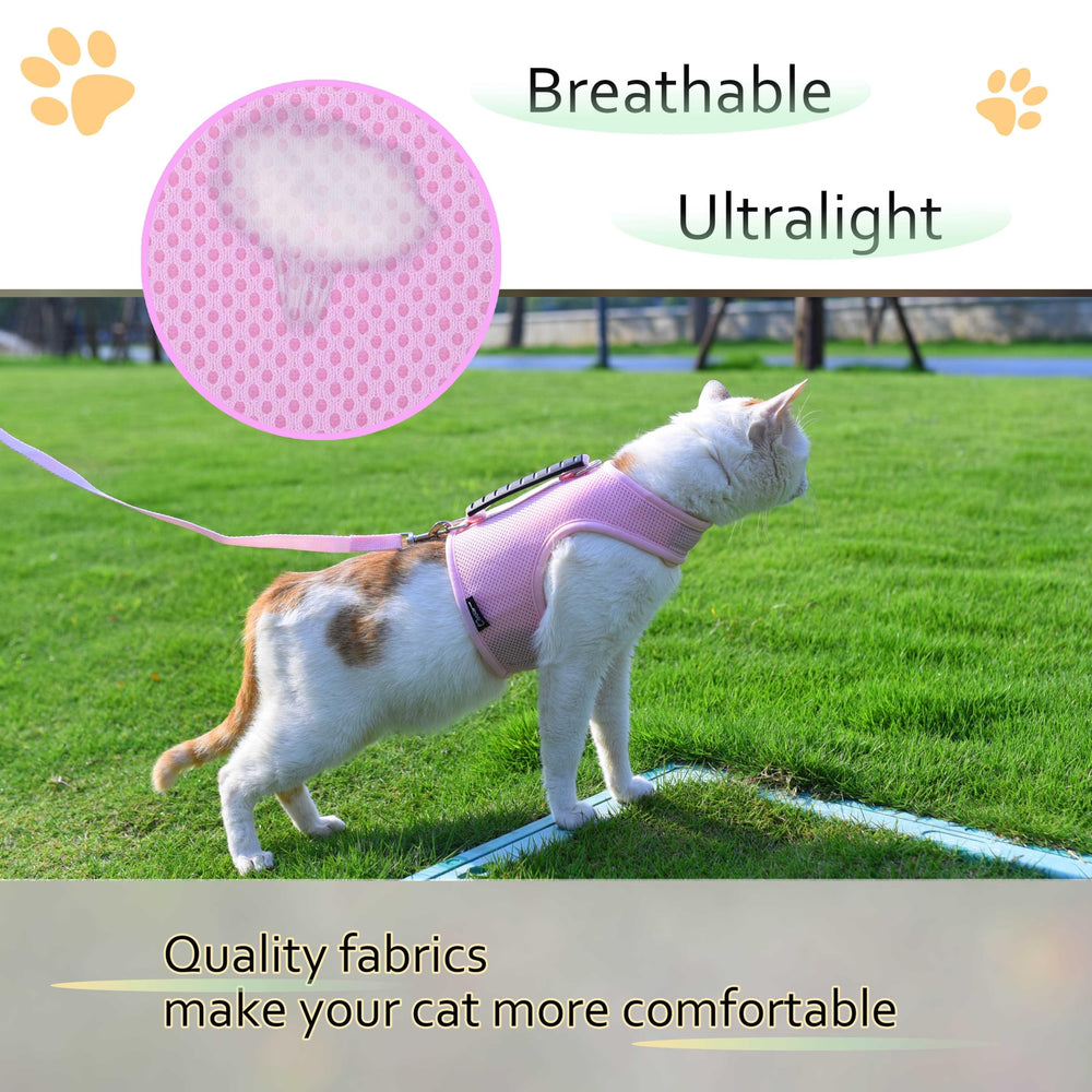 YIZHI MIAOW cat harness and leash set shown during a cat walk.
