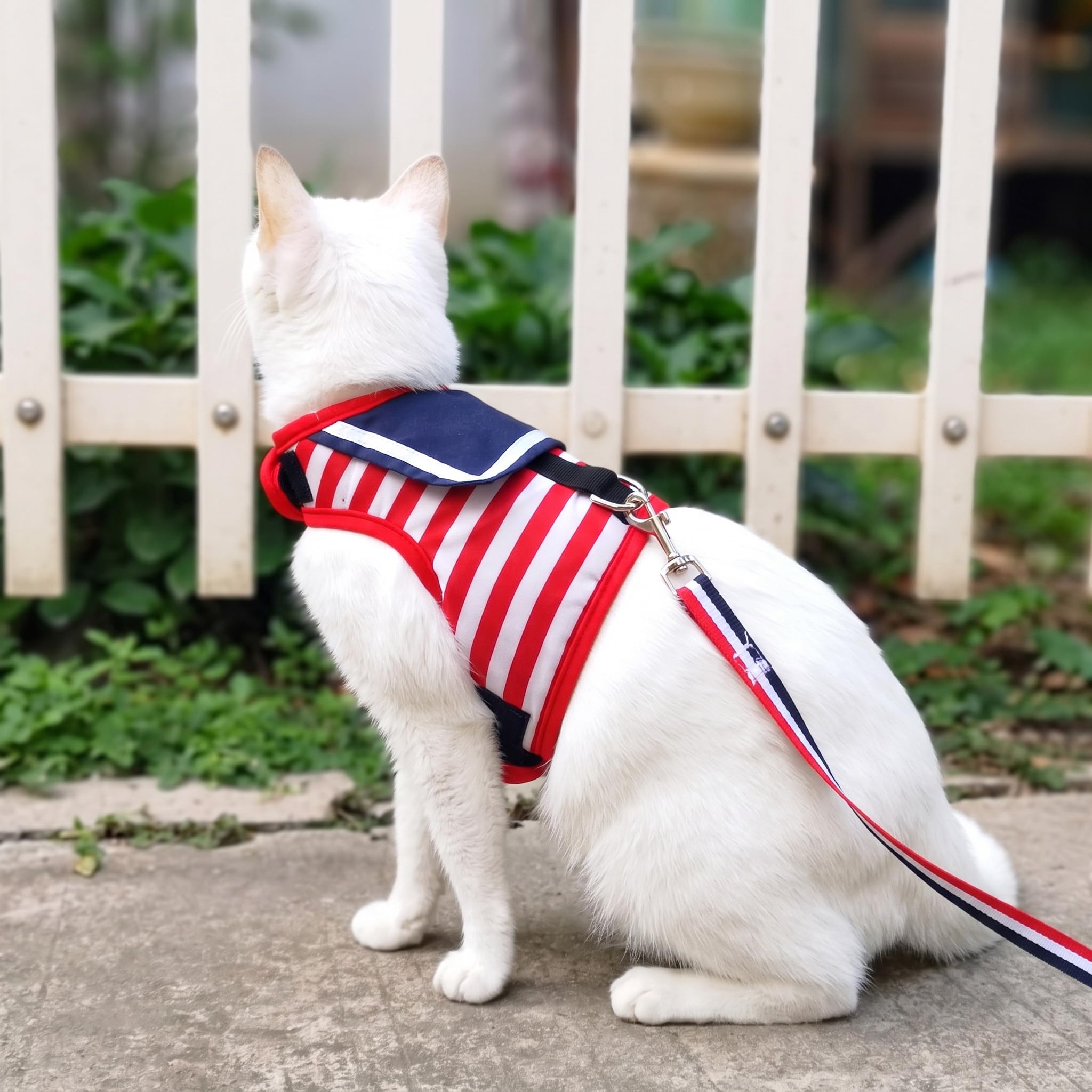 YIZHI MIAOW cat harness and leash set shown together.