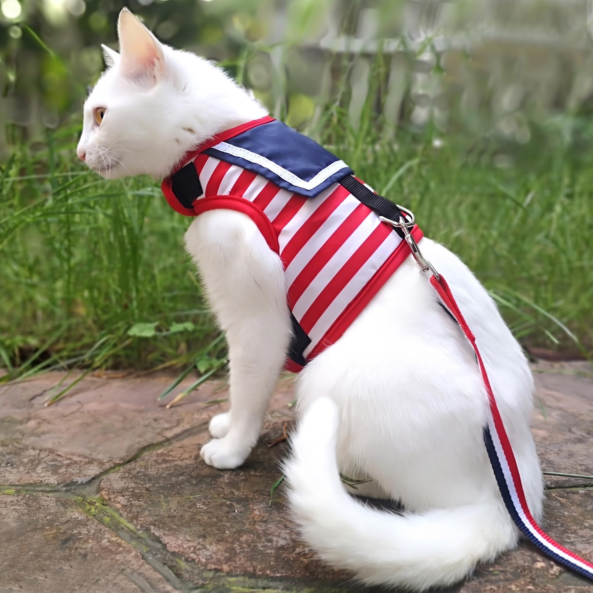 YIZHI MIAOW Cat Harness showing the padded vest construction.