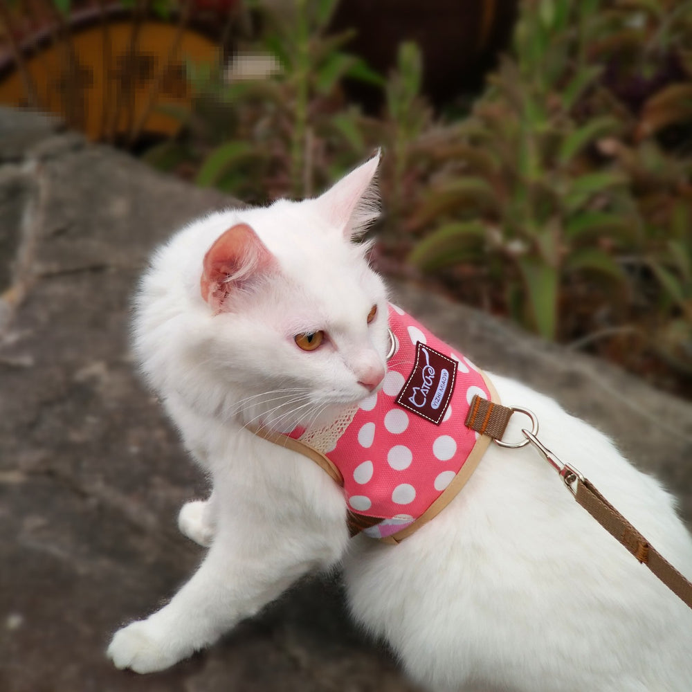 YIZHI MIAOW cat harness close-up showing its pink polka dot pattern.