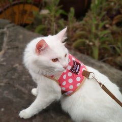 YIZHI MIAOW cat harness close-up showing its pink polka dot pattern.