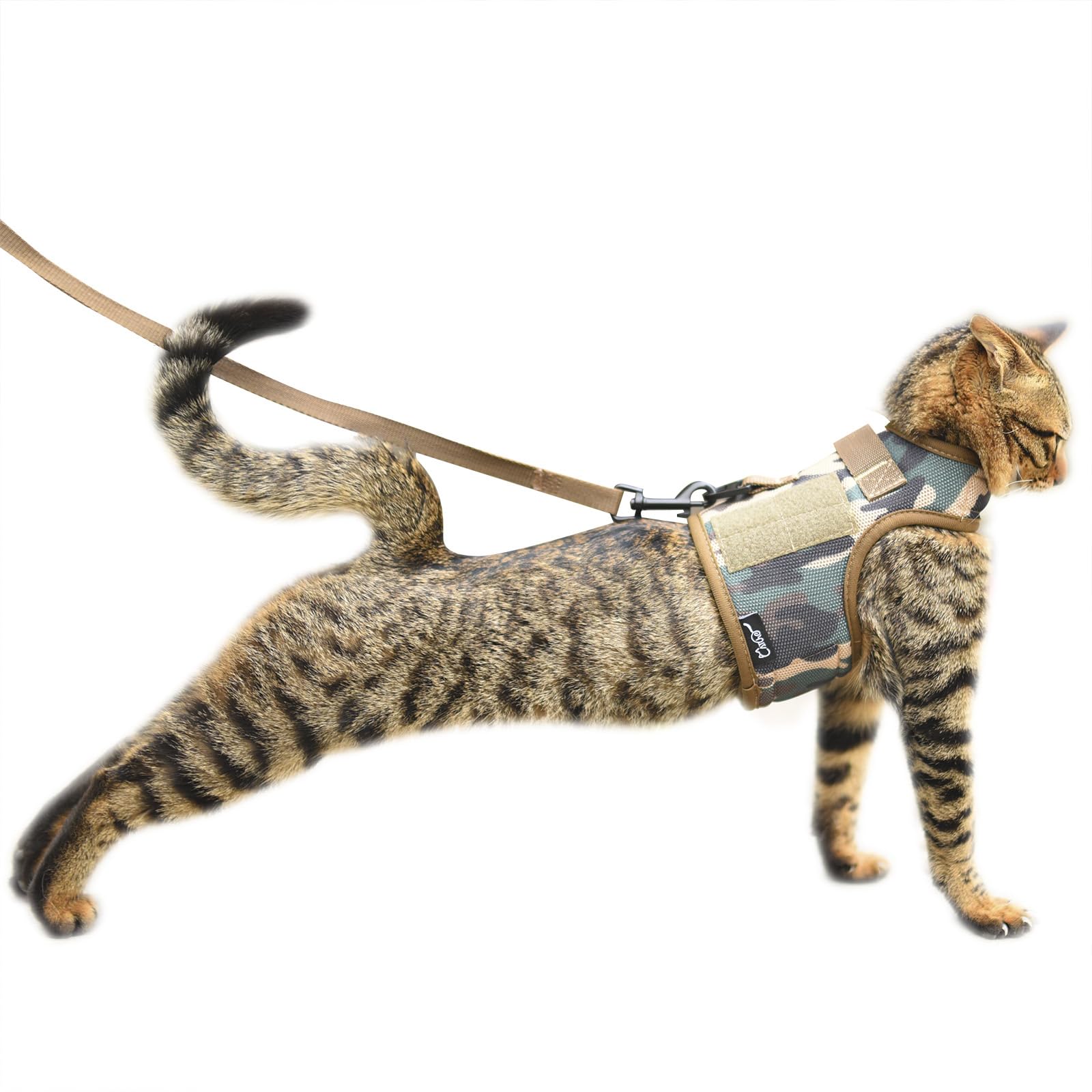 YIZHI MIAOW cat harness and leash set shown from the front.