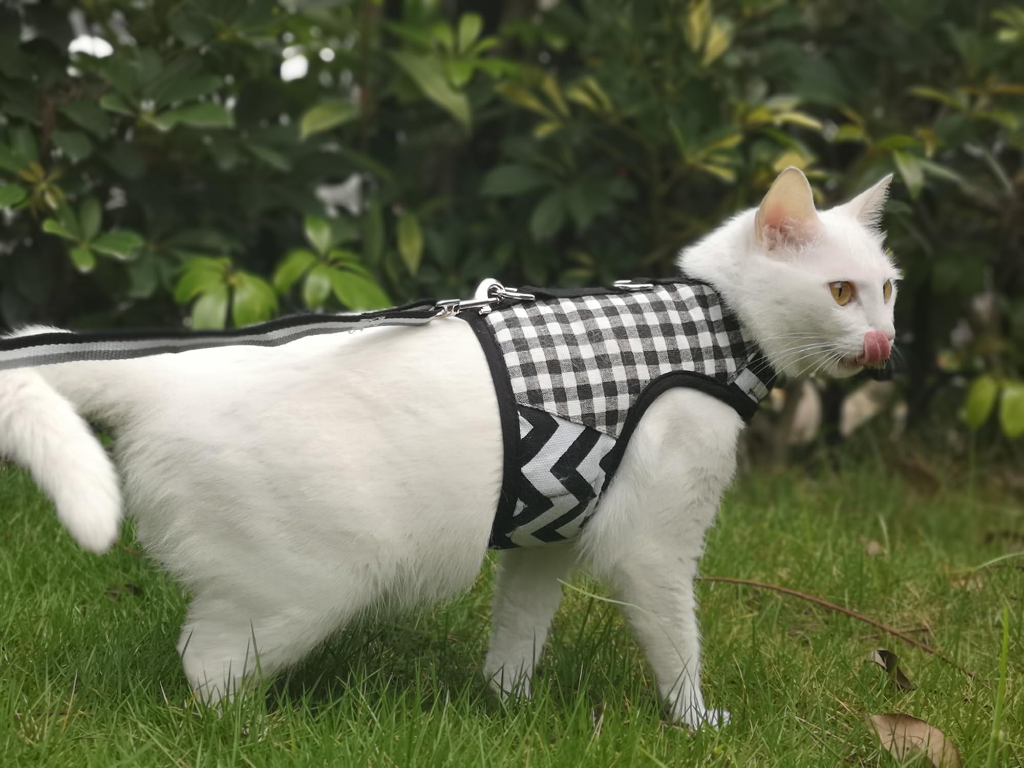 YIZHI MIAOW cat harness shown being worn by a cat.