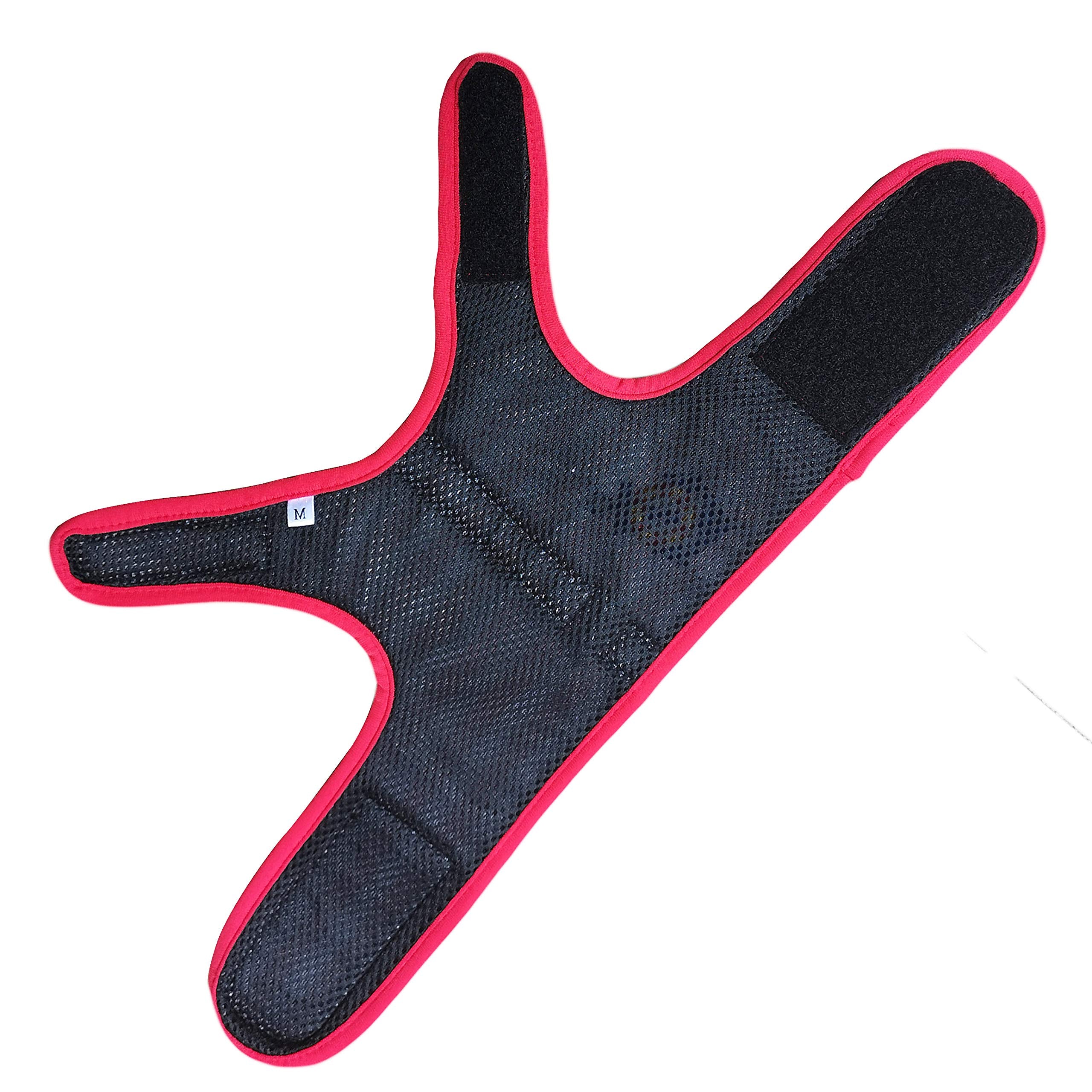 YIZHI MIAOW cat harness shown from the back in the Sailor Suit design.