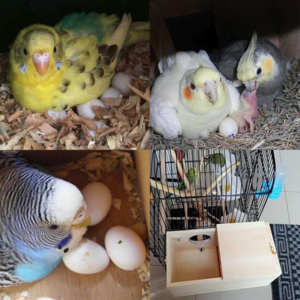 YJJKJ parakeet nest box showing its cage mounting position.