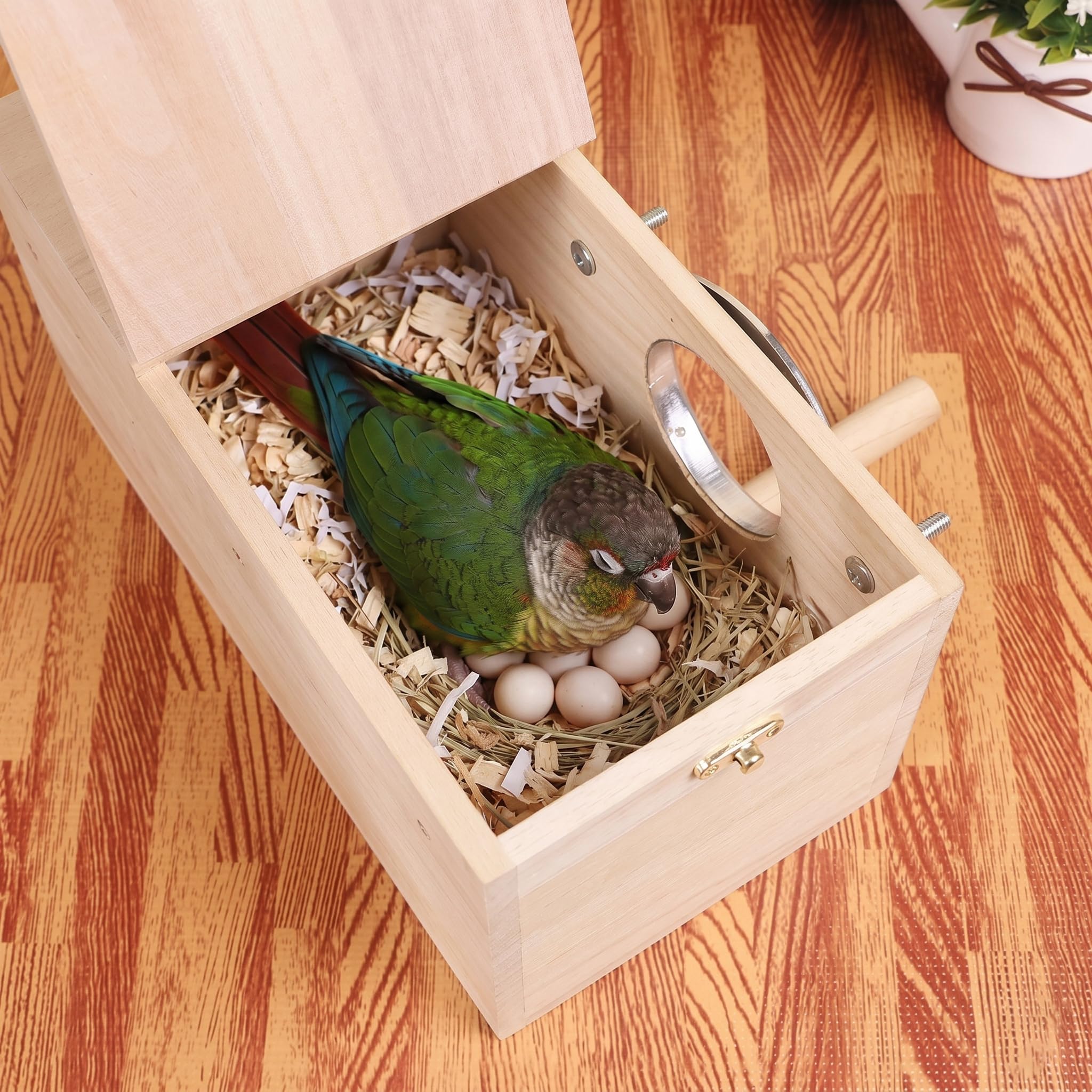 YJJKJ parakeet nest box entrance opening shown close up.