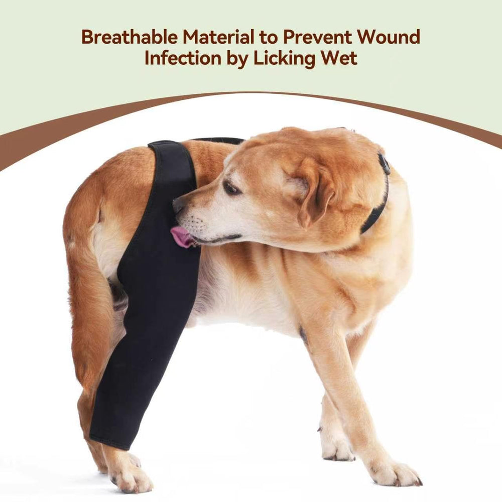 Yoneba dog recovery sleeve showing its adjustable fit.