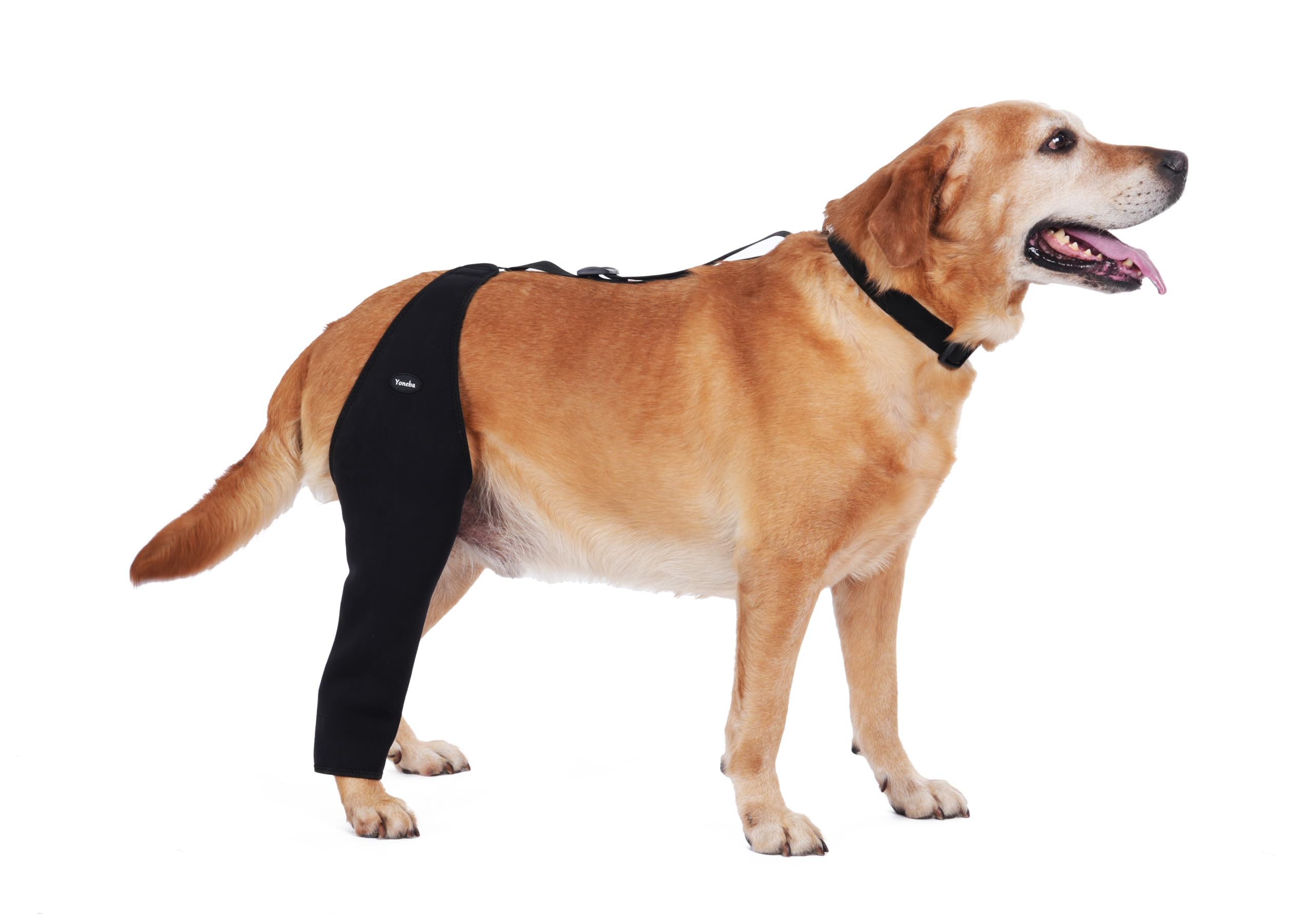 Yoneba dog recovery sleeve shown from the front.