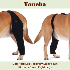 Yoneba dog recovery sleeve worn on a dog's hind leg.
