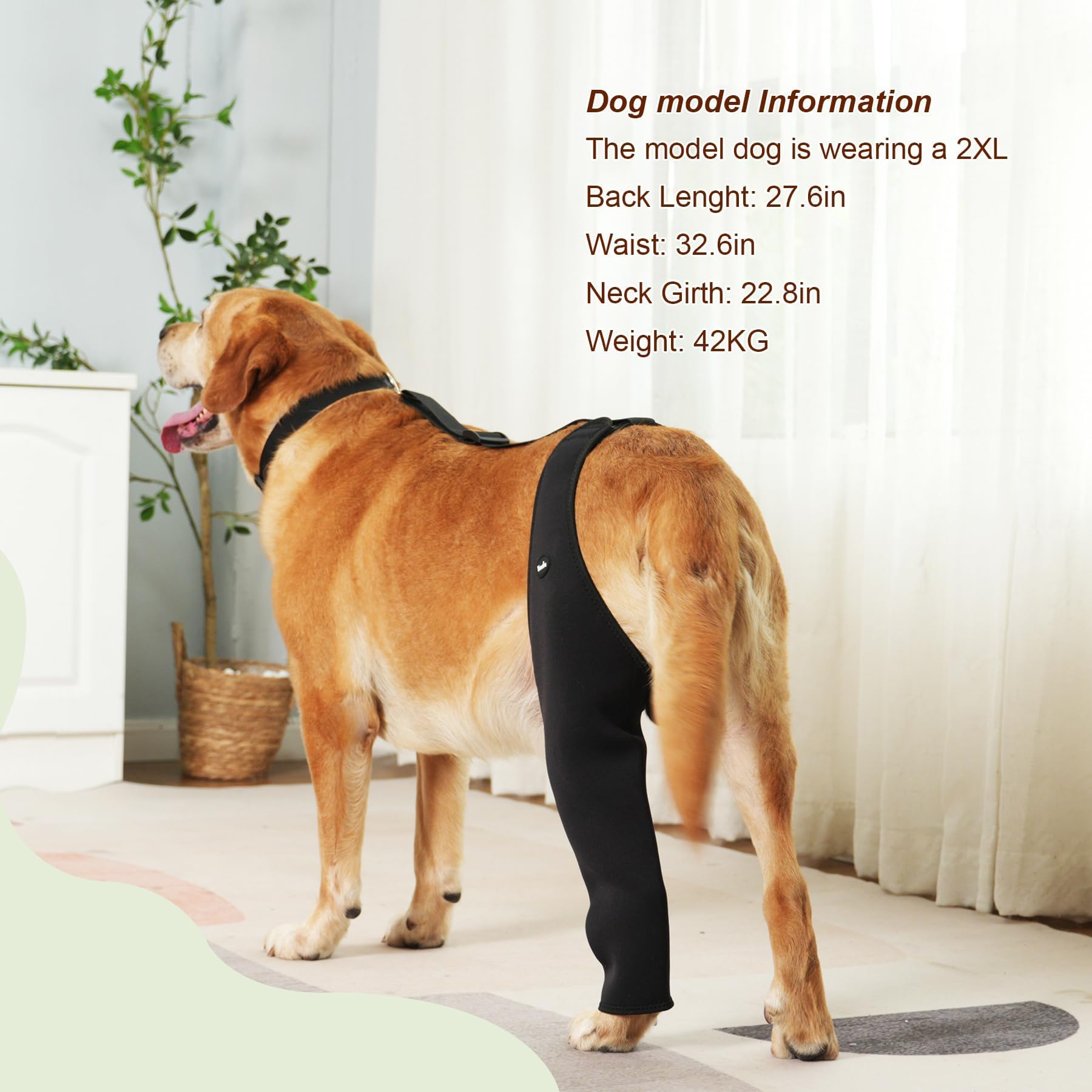 Yoneba dog recovery sleeve viewed from the side.