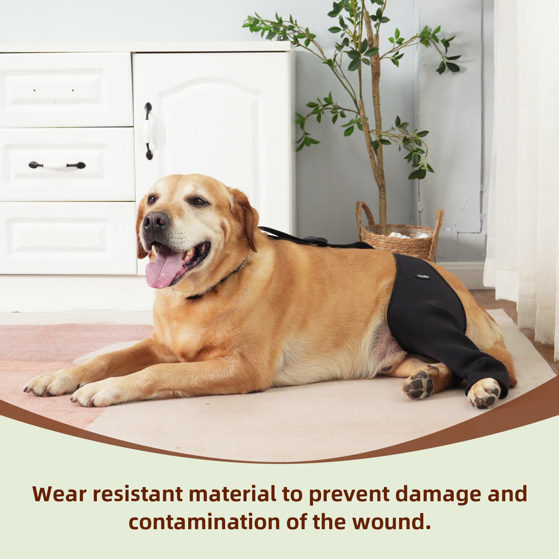 Yoneba dog recovery sleeve shown as a single-leg cover.