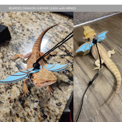 Yosadol bearded dragon leash shown with its blue bat-wing details.
