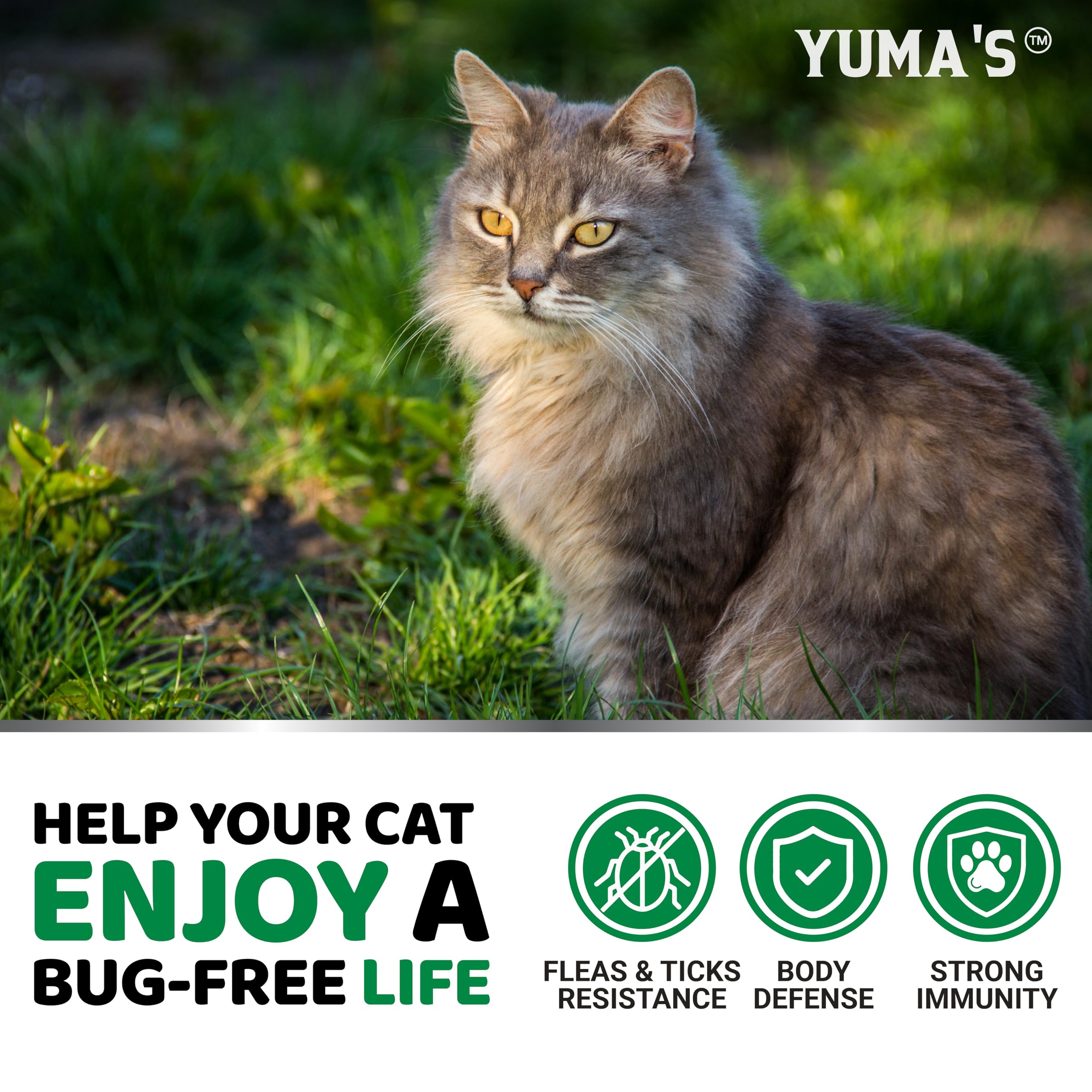 A cat taking a YUMA'S flea and tick chew.