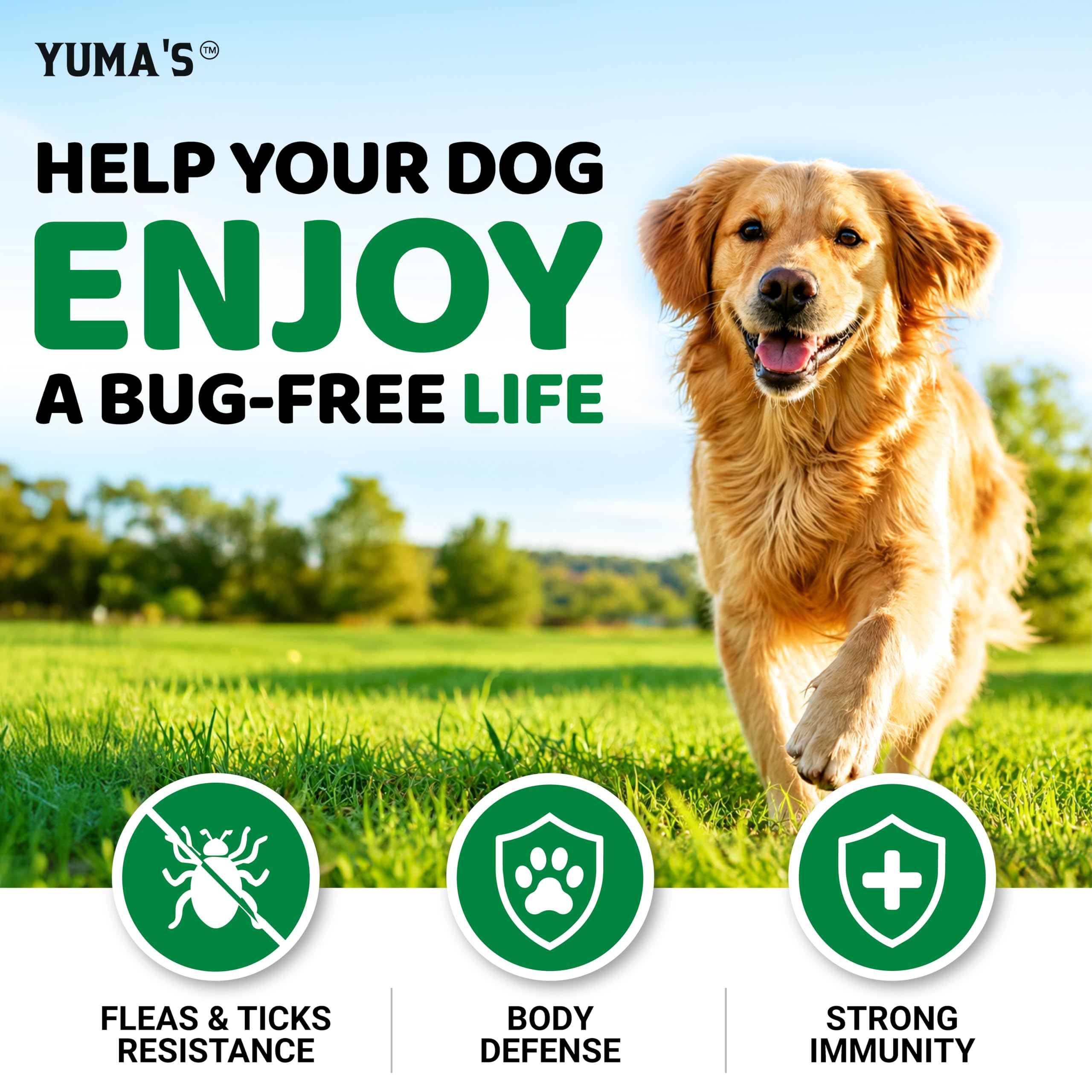YUMA'S dog flea and tick chews shown from the side.