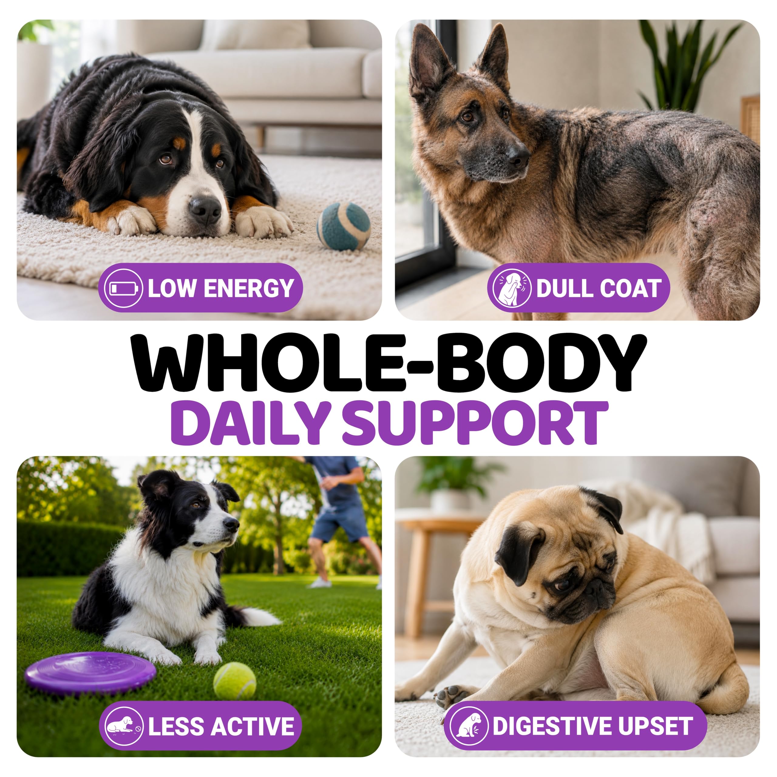 YUMA'S Dog Multivitamin Chews with a focus on the 23-in-1 formula.