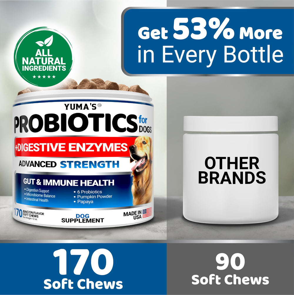 YUMA'S dog probiotic chews featuring digestive enzymes in the formula.