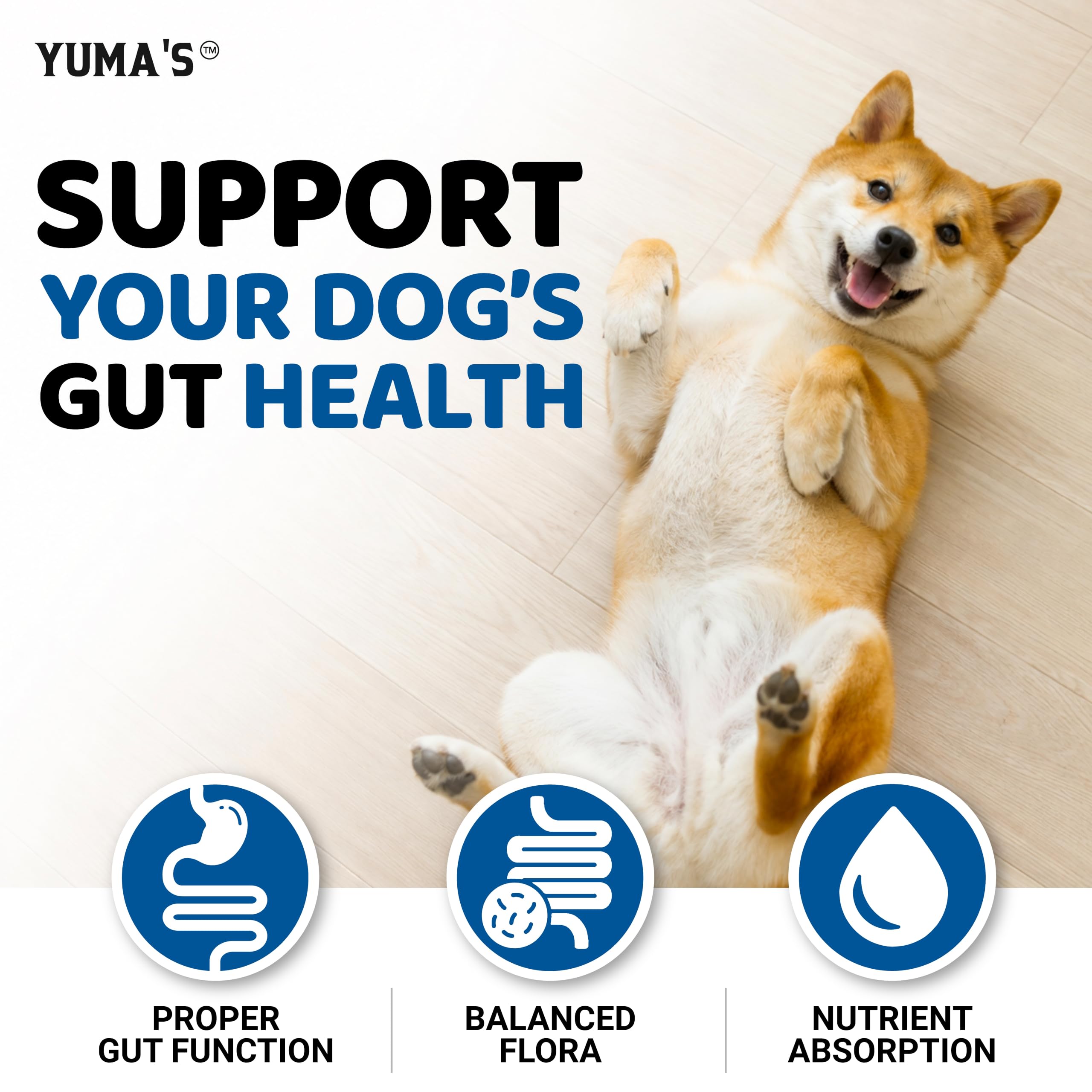YUMA'S dog probiotic chews with fiber included in the formula.